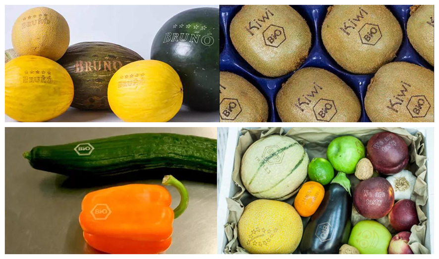 Machine de codage laser pour les emballages alimentaires.png